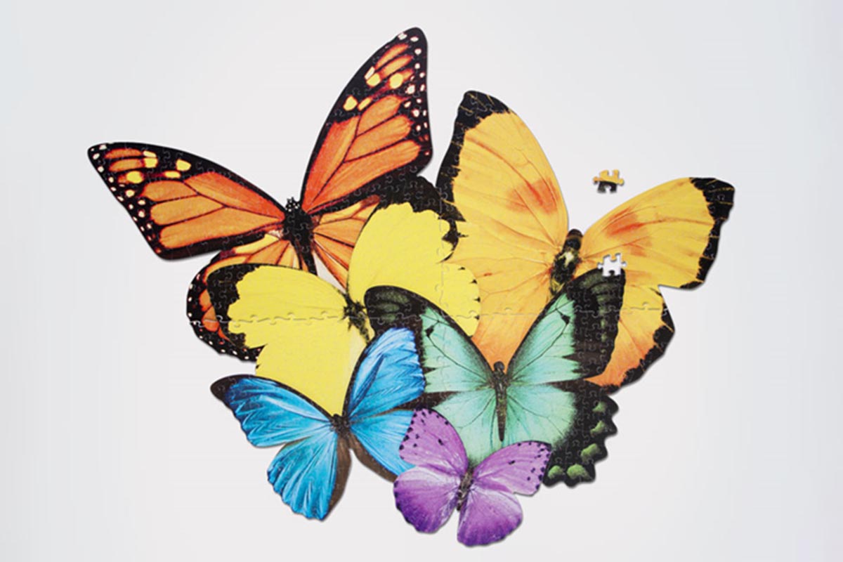 butterflies